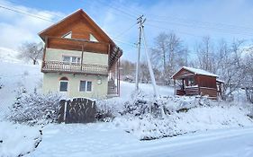 Карпатський будинок